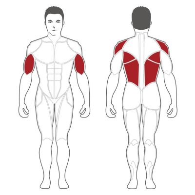 body solid seated row